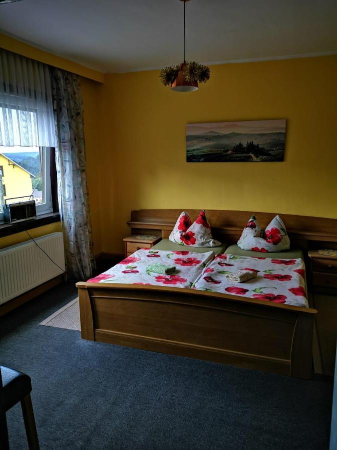 Gehlberger Landhaus Am Schneekopf / Ferienwohnung ズール エクステリア 写真