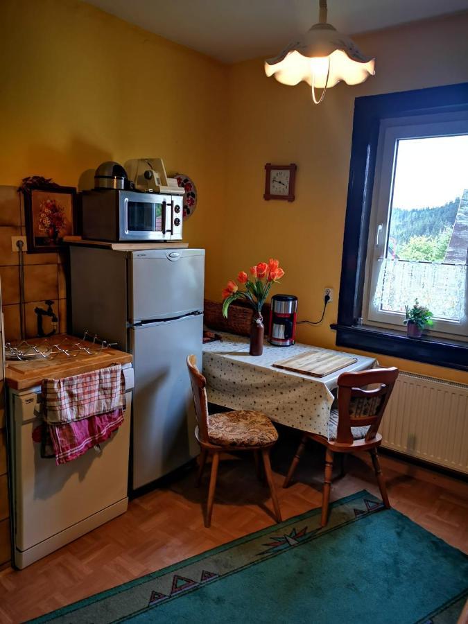Gehlberger Landhaus Am Schneekopf / Ferienwohnung ズール エクステリア 写真